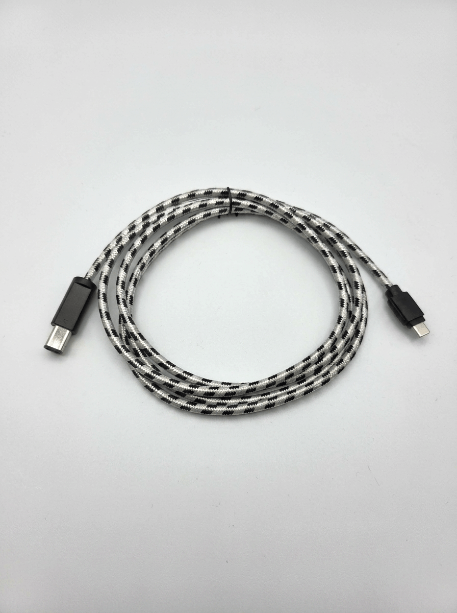 USB-C to GameCube Cable